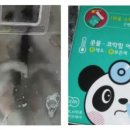 y동물병원 이미지