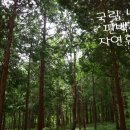 보길은모래펜션