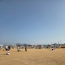 하이멍 네이버블로그