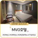 MVG호텔 | 진해역 숙소 [MVG호텔] 디럭스룸 후기ㅣ진해군항제 벚꽃명소 근처