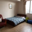 바다가 그리운 나무 이미지