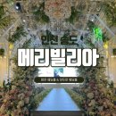 11650-16-170-6 | 인천 송도 메리빌리아 웨딩홀 2026년 식대 대관료 견적 뷔페 당일 혜택 후기