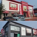 나무279(템퍼)