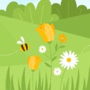 이로운라이프장례토탈 | 교원라이프 상조 홈페이지