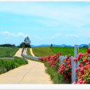 주경목장 이미지