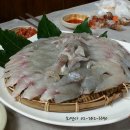 거제자연산횟집 - 창원시 의창구 원이대로285번길 13 | 거제자연산횟집