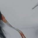 이재곤 Daum카페