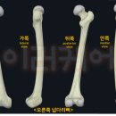 이러케어