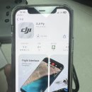 DJI flip 내돈내산 드론 카메라 후기