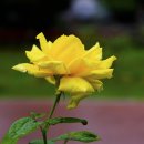 중리공원 이미지