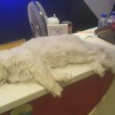 헐노래연습장 이미지