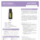 딥밸런스