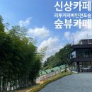 전포2치안센터 앞 | 카페, 리투커피바 인 전포숲, 전포 숲뷰 카페 내돈내산 후기