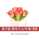 썸플라워컴퍼니