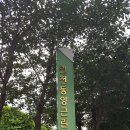 동양근린공원 Daum카페