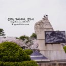 정독도서관 티스토리