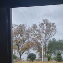 그린레이크 하우스 이미지