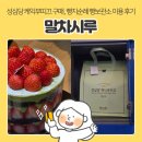 사릉로156번길1 | 성심당 케익부띠끄 말차시루 구매 및 빵지순례 빵보관소(빵장고) 냉장보관 및 당일 섭취 후기