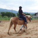 상지대학교부속실습목장 | 동물관련 진로 경북대학교 말/특수동물학과