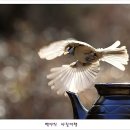 아름다운연출