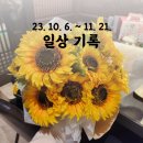 (주) 경성스포츠센터 | 초겨울 사진일기 | 23년 10월-11월