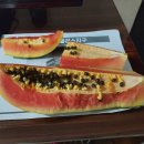 호텔파파야 이미지