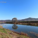 화천포레스트 이미지