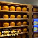 별꽃농장 | 네덜란드 알크마르 뮤지엄 | 알크마르 더치 치즈 박물관(Dutch Cheese Museum) 관람 후기