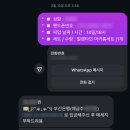 벌쓰데이마카롱