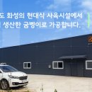 굼랩
