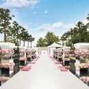 카멜레온호텔 이미지