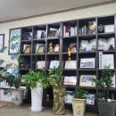 금강보청기(익산센터) 이미지