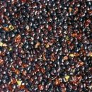 허씨한의원 이미지