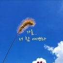 커피 숲 Daum카페