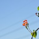 칠보산숲길 이미지