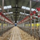 목동한우농장 이미지