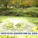 대전에서 5천만원 어치 잉어 수백마리 훔쳐간 범인 이미지