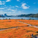 용인조정경기장 이미지