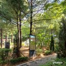 연꽃어린이공원 이미지