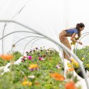 (주)올바른팜 이미지