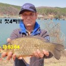 붕어의 신 이미지