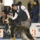 서울인터내셔널 이미지