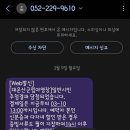 치유의 숲 야영장 | 대운산하늘숲야영장 캠핑장 예약방법 | 대운산군립야영장 추첨 신청부터 당첨 후기까지