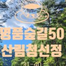 김삿갓면-41 이미지