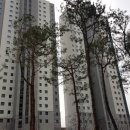 첨단시스템