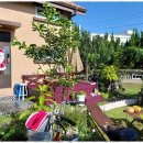 올래민박 | 구좌민박 노을 맛집 제주올래, 고양이와 함께한 특별한 하루