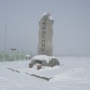 ★1월 16일 평창 선자령 정기산행 안내 ★ 이미지