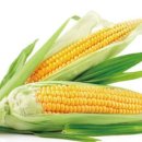 정담푸드 이미지