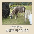 비스타밸리 | 아이랑 가볼만한곳 추천 | 남양주 비스타밸리 다녀온 후기