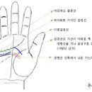 손금으로는 대박인걸-간단한 손금 지식 이미지